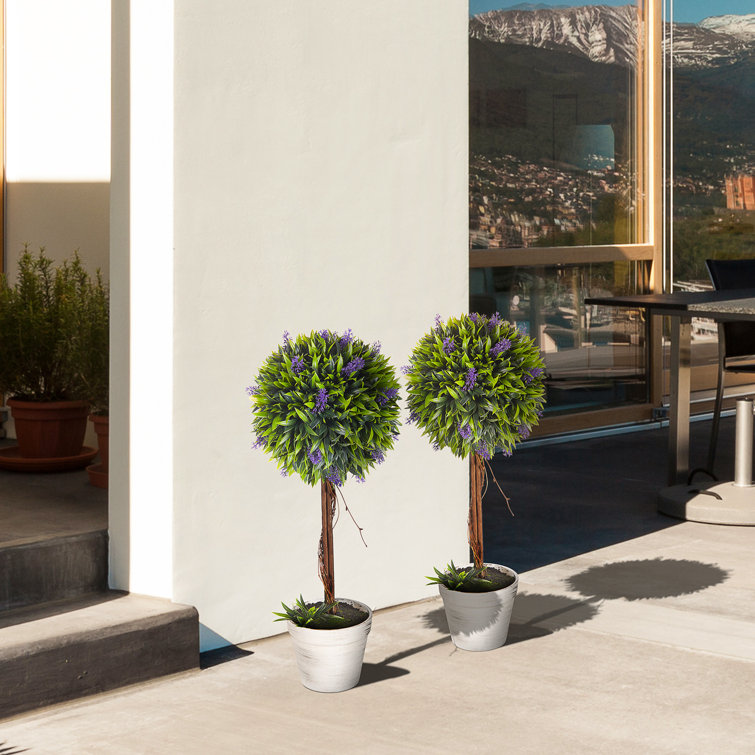 The Seasonal Aisle 60cm Faux Moss Tree in Cement Pot Wayfair.co.uk